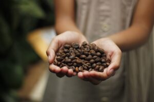 Kaffee als Exportgut