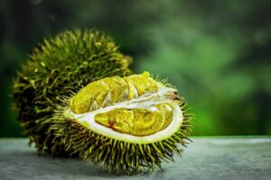 Durian – Geruchsintensive Stachelfrucht
