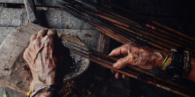 Giftpfeile der Mentawai (Stamm vor Sumatra)